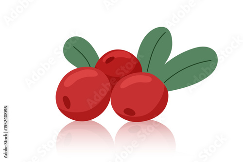Lingonberries isolated on white background. Vector flat clipart.