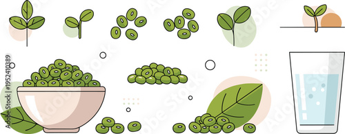 Mung Bean Food and Plant Growth Illustration Set with Bowl, Seeds, Leaves and Water Glass Isolated on White Background for Healthy Organic Concept
