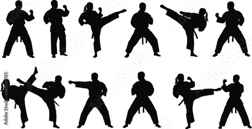 Martial Arts Silhouette Vector Set, Karate and Taekwondo Fighters Posing, Kicking, Punching, Combat Sports Training Icons, Isolated Action Illustration, Judo