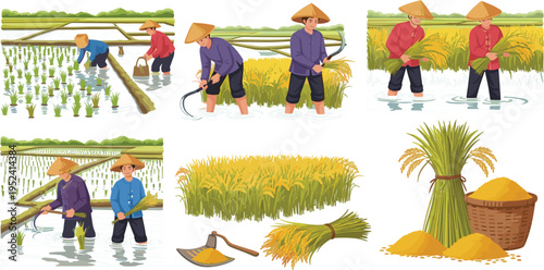 Rice Farming Agriculture Set with Farmers Planting and Harvesting Paddy, Rice Field Landscape, Sheaves and Grain Basket in Rural Farming Illustration