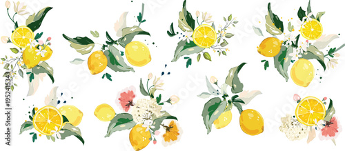 Watercolor Lemon Floral Arrangements Set with Citrus Fruits, Leaves and Flowers, Botanical Summer Clipart Collection