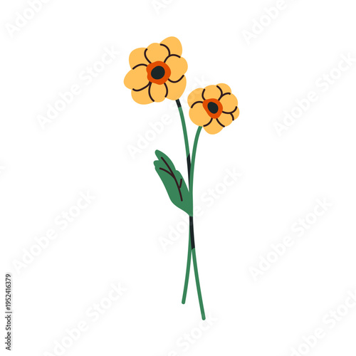 Flower stems. Floral blooms, summer nature. Spring wildflower. Field meadow p...