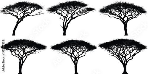 Acacia tree silhouettes set, African savanna trees vector, flat top canopy design, black nature illustration, isolated woodland graphic collection
