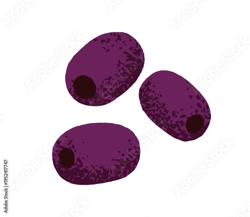Black olive fruits. Pitted Mediterranean snack for Italian, Spanish and Greek cuisine. Healthy natural food, oliva berries, fresh ingredient. Flat vector illustration isolated on white background