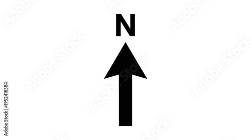 Healthy Salad Ingredients Cabbage, Cucumber, Garlic, and Fresh Greens