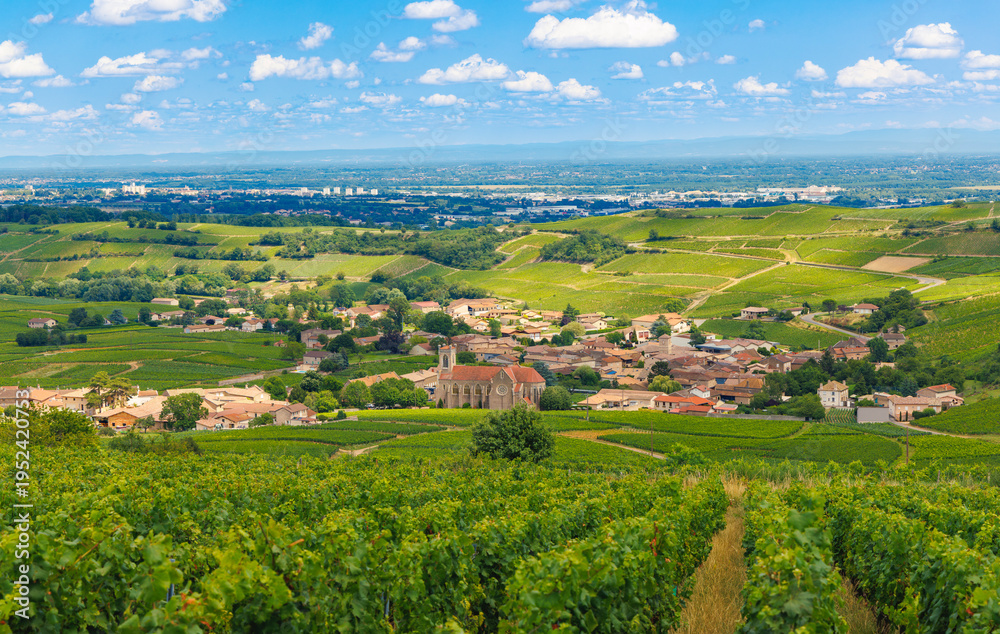 Fototapeta premium Panoramic view of Fleurie village surrounded by rolling vineyards in the Beaujolais wine region, France