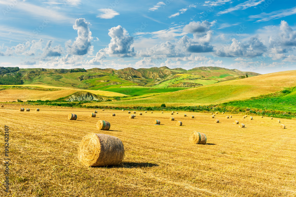 Fototapeta premium beautiful agricultural landscape of a golden shiny fielf of summer farmland with amazing hay stacks and scenic green hills and mountains on background