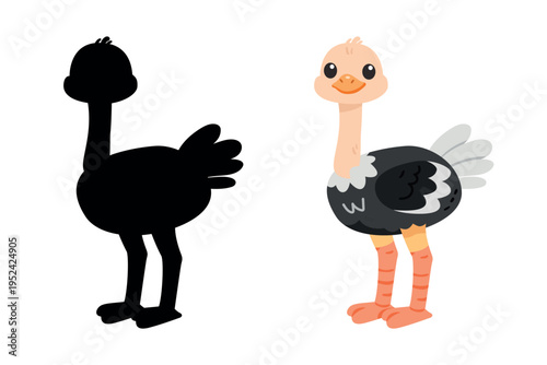 Cute baby ostrich cartoon with shadow silhouette for kids educational game