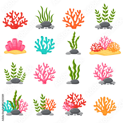 Underwater seaweeds and coral reef plants collection vector illustration.