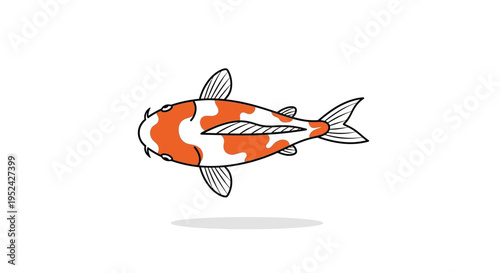 Top View Koi Fish Illustration, Orange and White Japanese Carp
