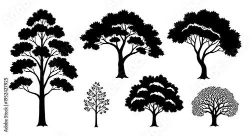 Collection of Silhouetted Trees Vector Graphics