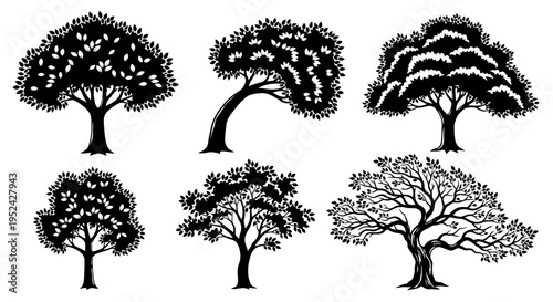 Collection of Six Black Silhouette Trees with Detailed Leaves and Branches