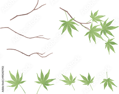 水彩風緑のモミジの素材