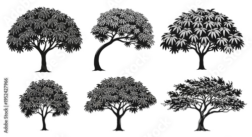 Collection of Six Diverse Tree Silhouettes Isolated on White Background