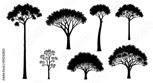 Diverse Tree Silhouettes Collection - Isolated on White Background