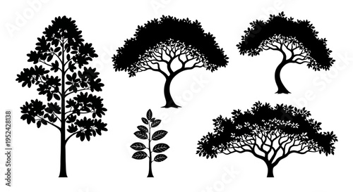 Diverse Tree Silhouettes Collection - Nature Graphic Elements
