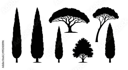 Diverse Tree Silhouettes Collection: Evergreen, Acacia, Pine, Oak