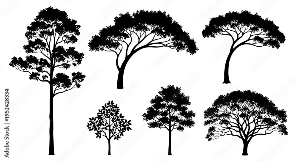 Fototapeta premium Diverse Tree Silhouettes Collection