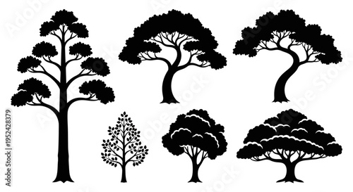 Diverse Tree Silhouettes Collection