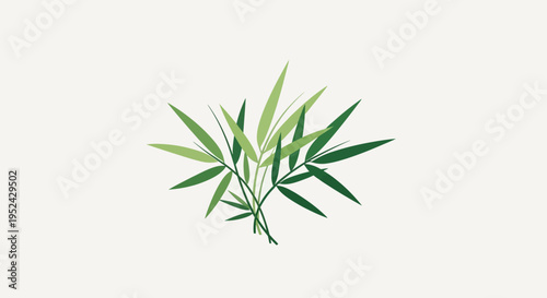 Green Bamboo Leaves Clustered on White Background