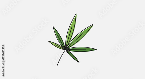 Green Leaf with Five Lobes on White Background