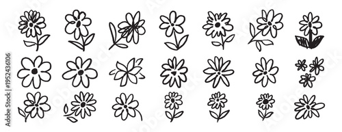 brush flowers daisies or camomile doodle hand drawn icon set. Outline drawing flower line clipart symbol collection