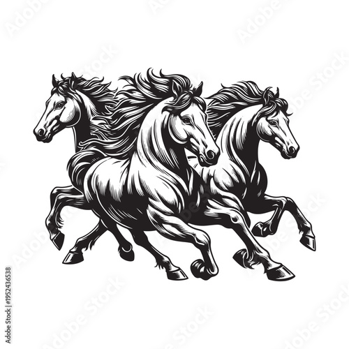 Three horses are running side by side