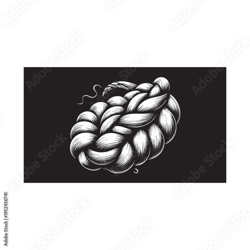 A braid of hair with loose strands