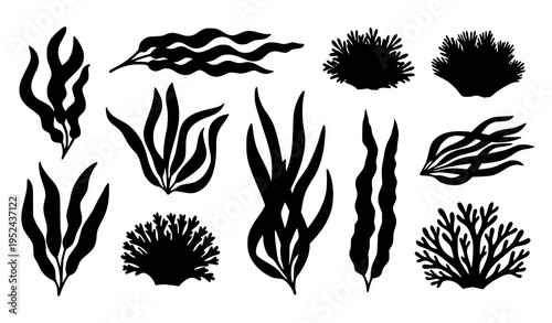 Multiple black seaweed silhouettes vector icon set isolated ocean plants illustration