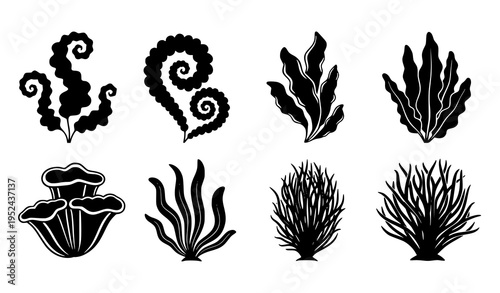 Stylized black algae icons set seaweed vector flat design isolated on white background