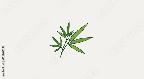 Green Bamboo Leaves Branch on Light Background