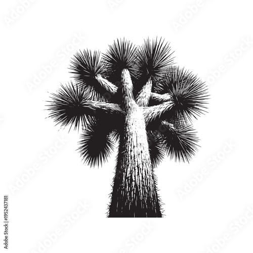 A black and white drawing of a tree with spiky leaves