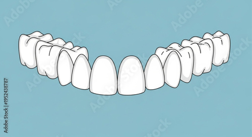 Illustration of a full set of teeth on a blue background.
