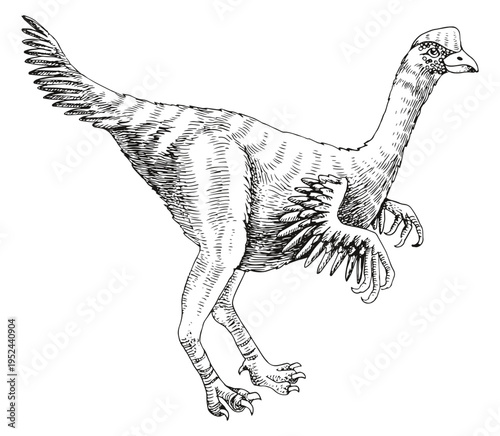 Oviraptor dinosaur hand drawn vector