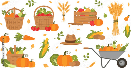 Autumn Harvest Vector Illustration Set Featuring Pumpkins, Vegetables, Corn, Wheat, Baskets, Wheelbarrow, and Seasonal Farm Produce for Fall Design and Thanksgiving Projects.