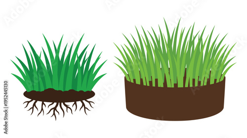 Green grass bunches with soil and roots flat vector illustration set