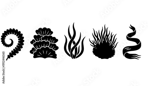 Modern black algae icons vector set seaweed silhouettes isolated on white background