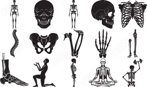 A comprehensive collection of black silhouette illustrations depicting various human skeletal structures and anatomical poses for medical reference