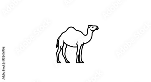 a simple line drawing of a camel.