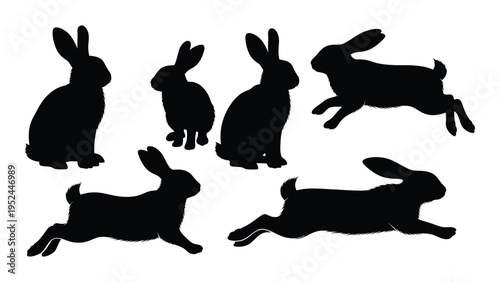 Silhouette collection of rabbits in various poses against a white background