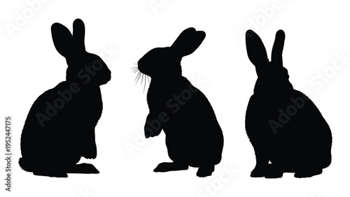 Three black silhouettes of rabbits in various poses against a white background