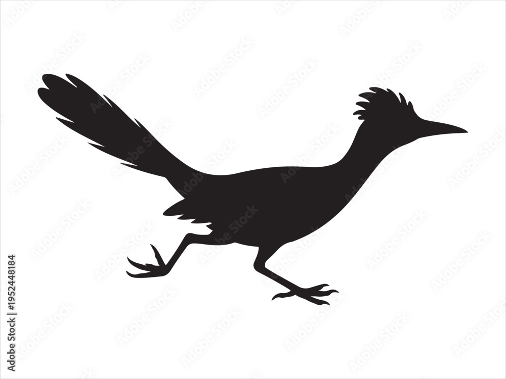 Fototapeta premium Roadrunner bird logo vector icon, Silhouette of Roadrunner Bird Running, Wildlife Animal Vector Illustration