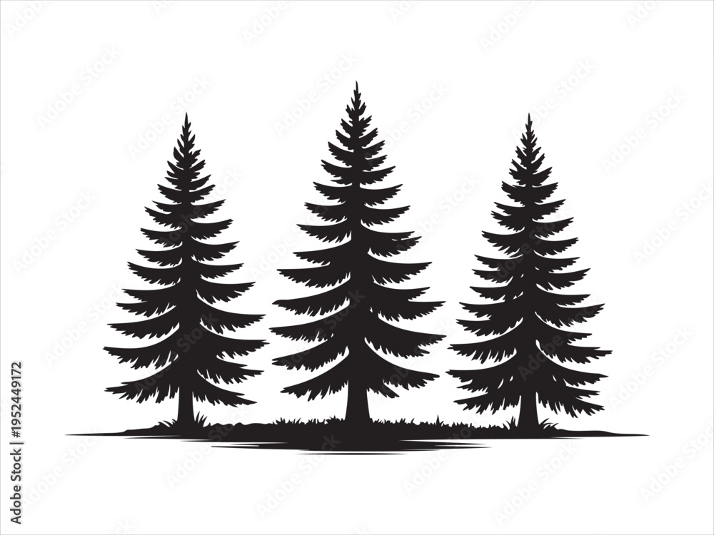 Obraz premium Fir trees silhouettes vector set, Pine Trees Silhouette Vector Illustration