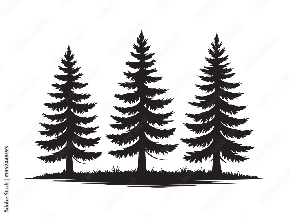 Fototapeta premium Fir trees silhouettes vector set, Pine Trees Silhouette Vector Illustration