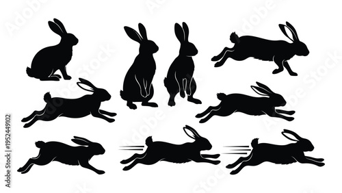 Silhouette collection of various rabbits in different poses and actions