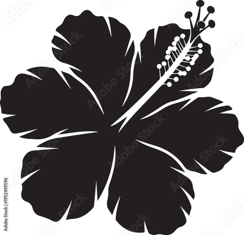 Hibiscus flower black color illustration.