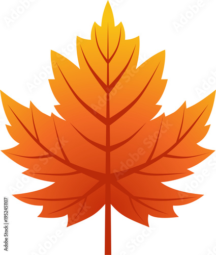 Orange Autumn Maple Leaf with Reflection Isolated on White Background
