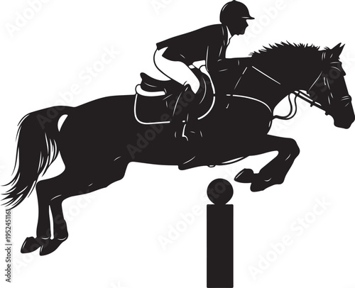 Horse jumping over obstacles