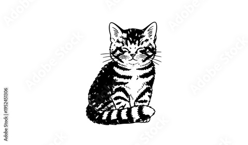 Hand drawn ginger kitten sitting vector illustration cute pet cat isolated on white background