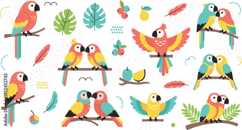 Flat vector illustration set of colorful tropical parrots and macaws featuring perched pairs, flying birds, monstera leaves, feathers, and exotic fruits for jungle design.